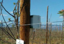 Le gel d’avril démystifié : Une exploration approfondie pour l’agriculteur averti